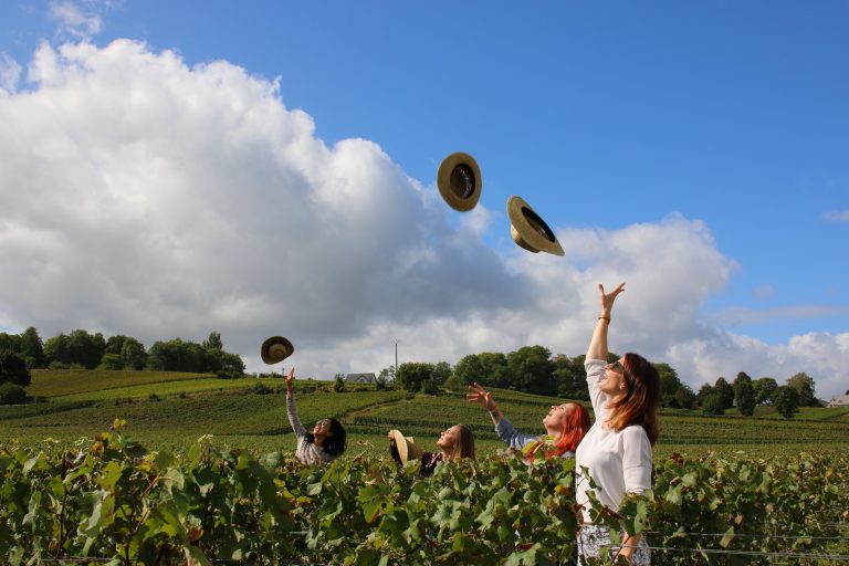 Villereims Vignoble De Champagne Pauline Colin