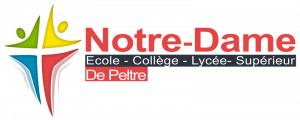 Logo_lycee Notre Dame De Peltre