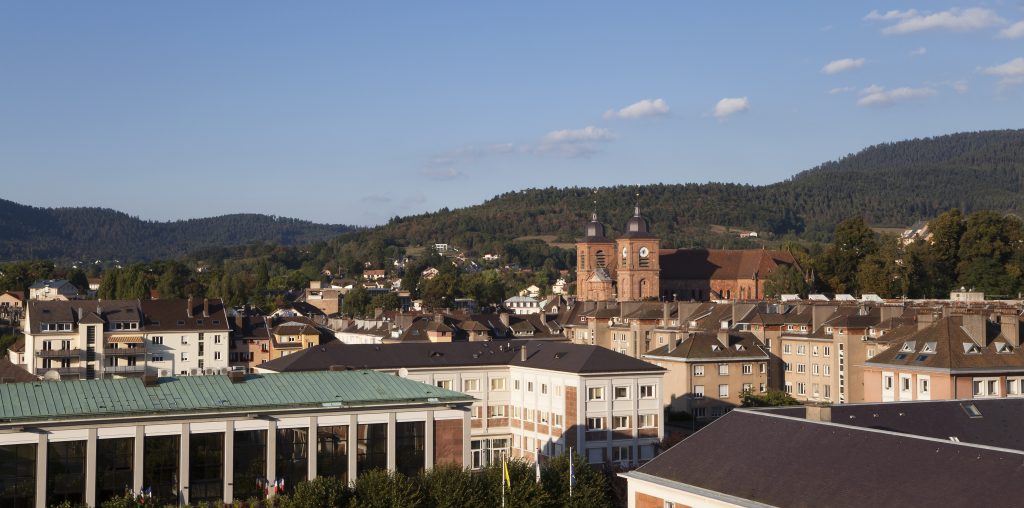 Saint Die Des Vosges Vue Panoramique 2