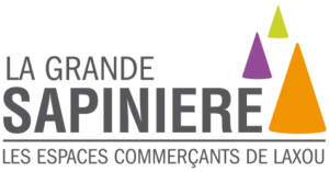 logo la sapinière Laxou - séminaire transition Cnam Grand Est